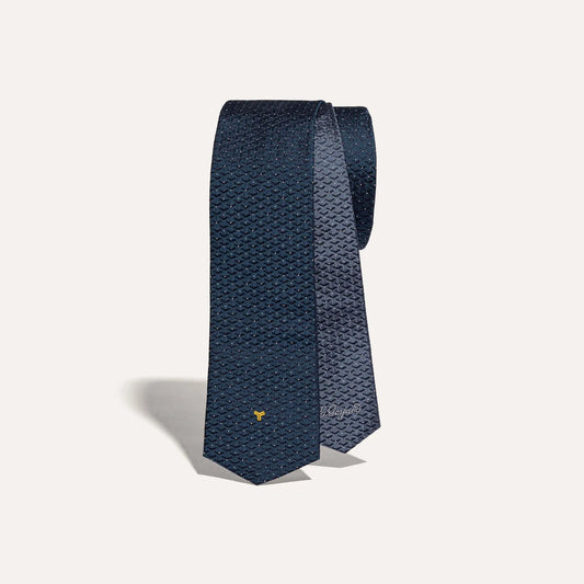 Eldredge Bicolore tie