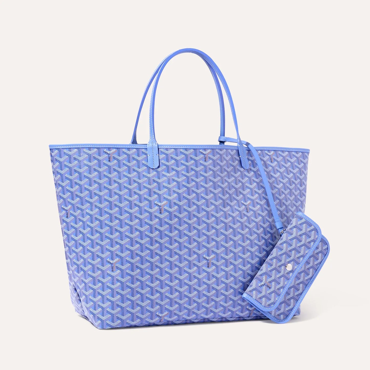 Goyard Saint Louis PM in IRIS